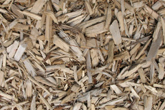 biomass boilers Salmonby